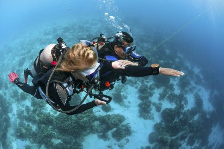 Scuba Diving Specialty Course in Los Cabos