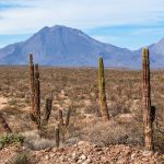 Baja California Mountain view