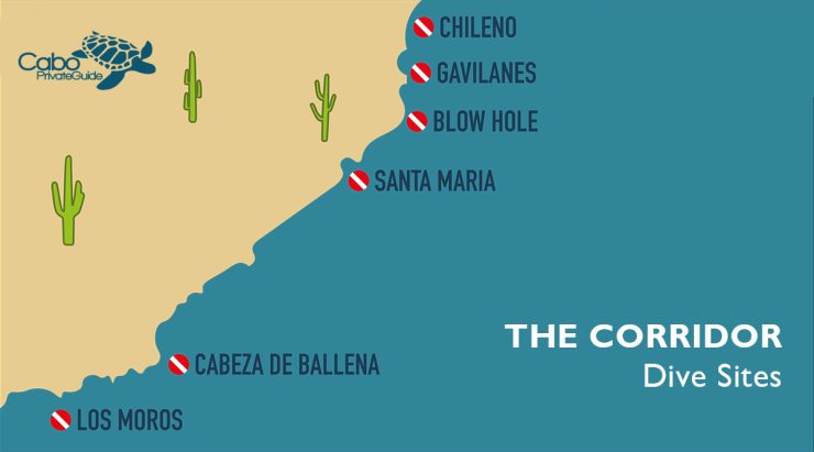 Dive sites map of The Corridor in Los Cabo Mexico