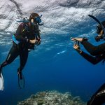 divemaster2