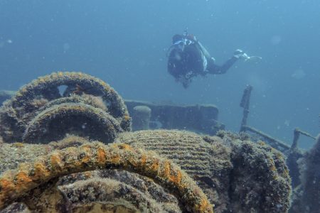 Scuba diver La Paz shipwreck