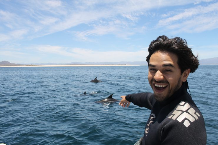 Wild Dolphin in Cerralvo Island