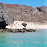 Espiritu Santos Island Baja California