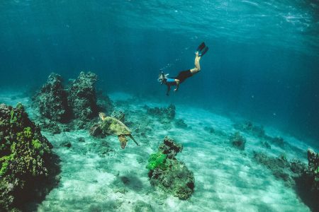 free diving kids cabo san lucas