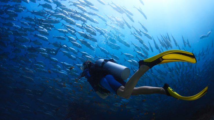 A kid goes scuba diving surrounded by a school of fish. ©Dudarev Mikhail/Adobe Stock
