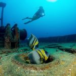 La Paz shipwreck