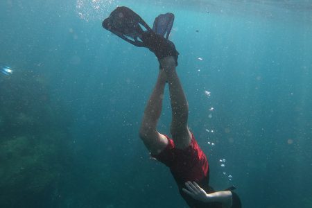 Los Cabos Snorkeling