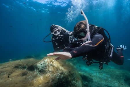 PADI Advanced Open Water certification in Cabo San Lucas