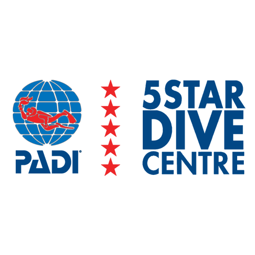 padi 5 star dive center