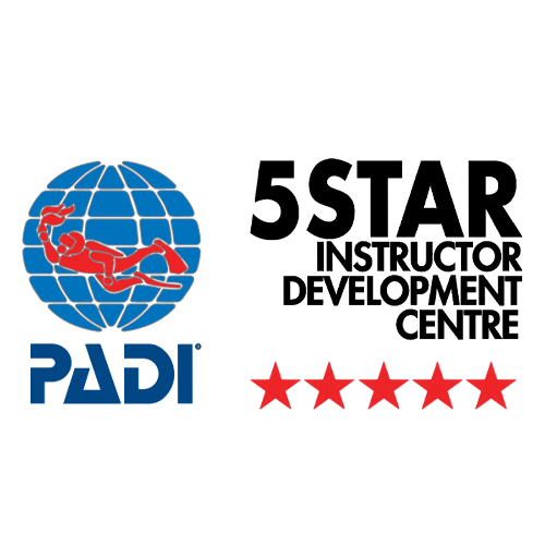 padi 5 star idc - instructor Development Center