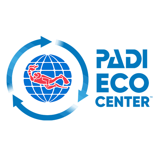 padi eco dive center