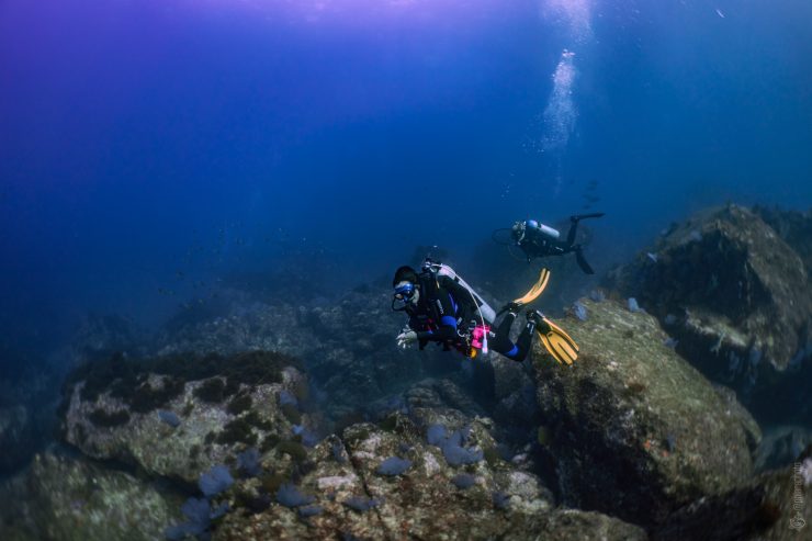 private guide 8
