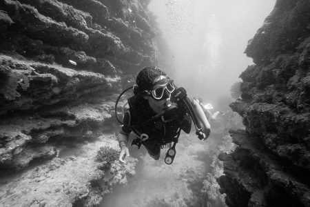 Coral reef in Cabo Pulmo Coral reef in Cabo Pulmo