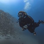 scuba divers with school of fishe