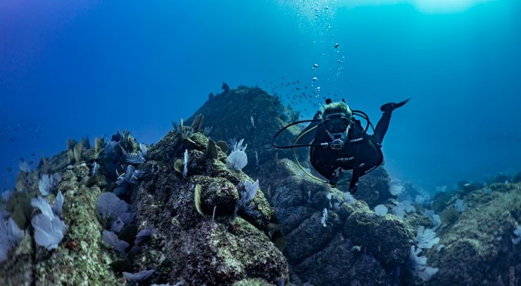 Scuba Diving in Cabo San Lucas
