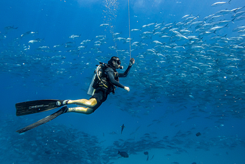 scuba diving packages in cabo san lucas