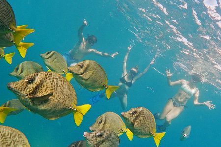 Snorkeling in Cabo