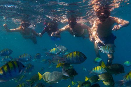 snorkeling in Los Cabos