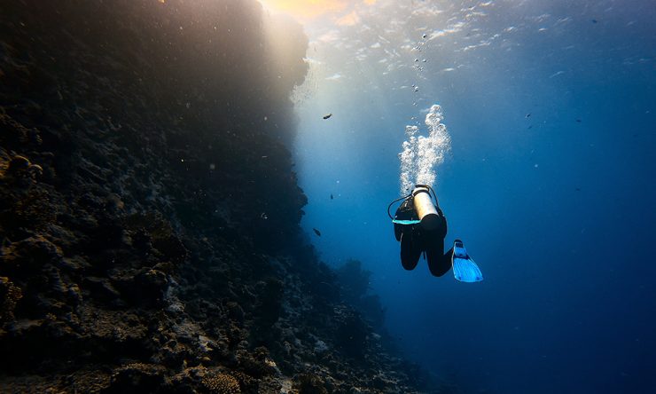 Scuba diver in the sea of Cortez, Mexico