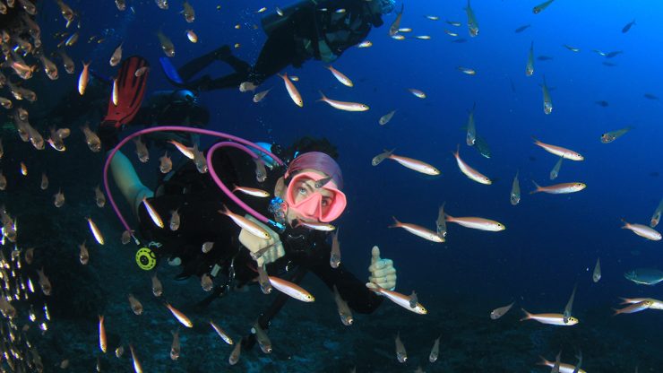 Women scuba diving in cabo San Lucas