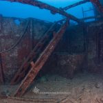 Wreck diving in La Paz