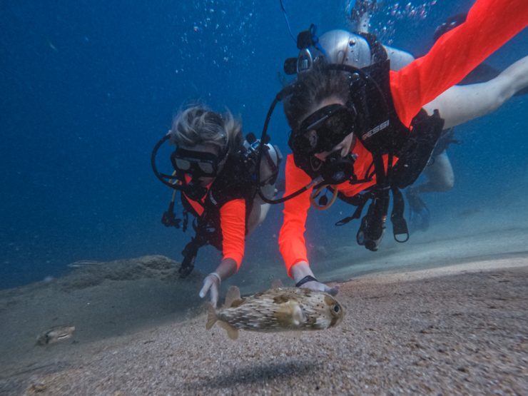 young children scuba diving cabo